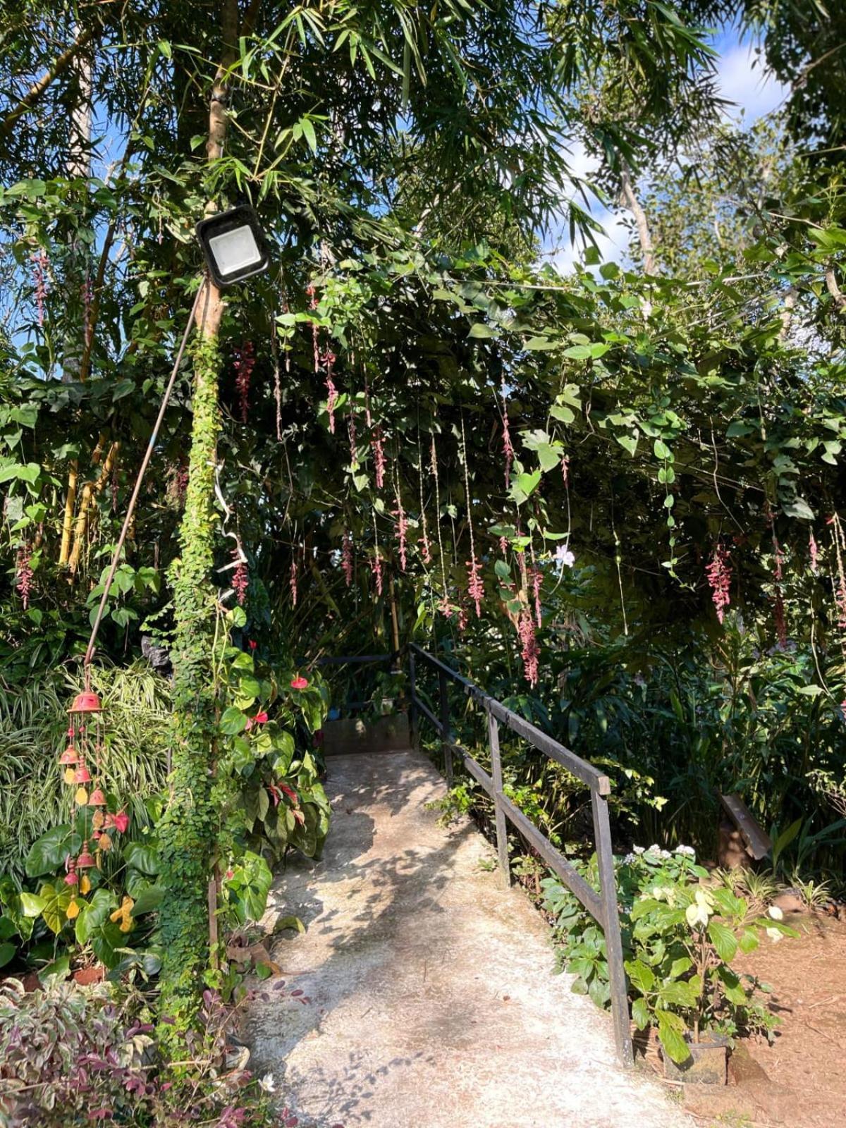 Villa Lush Acres à Thekkady Extérieur photo